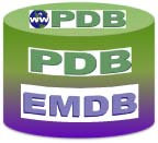 pdb-emdb image